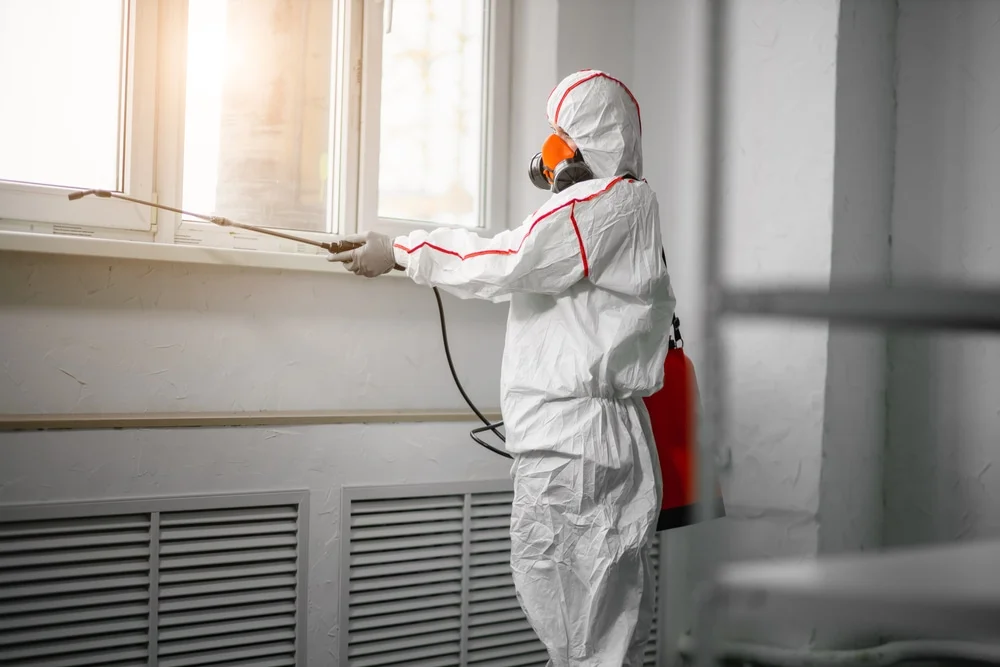 Professional mold remediation services in Weiser, ID